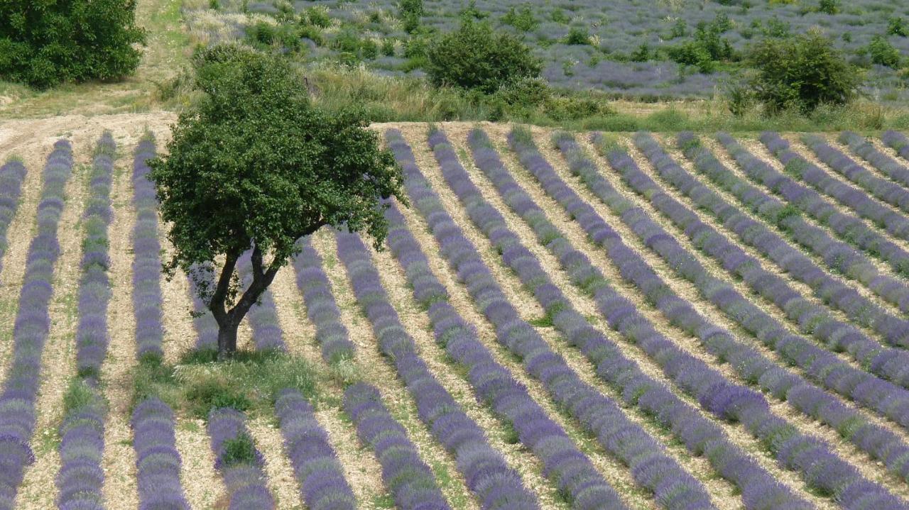 Mas Solige Carpentras Exteriér fotografie