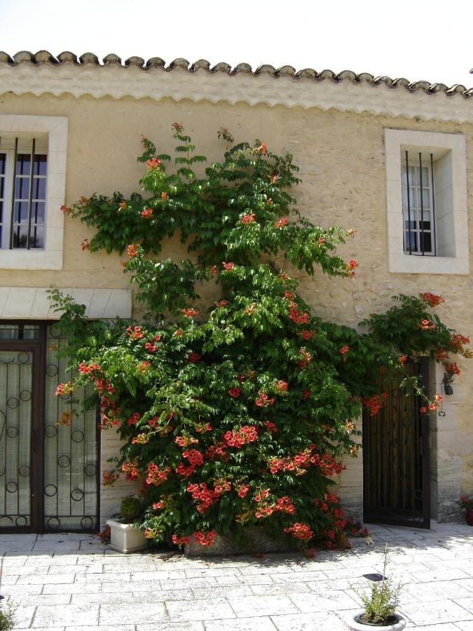 Mas Solige Carpentras Exteriér fotografie